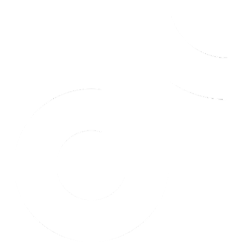 TikTok VNC Services